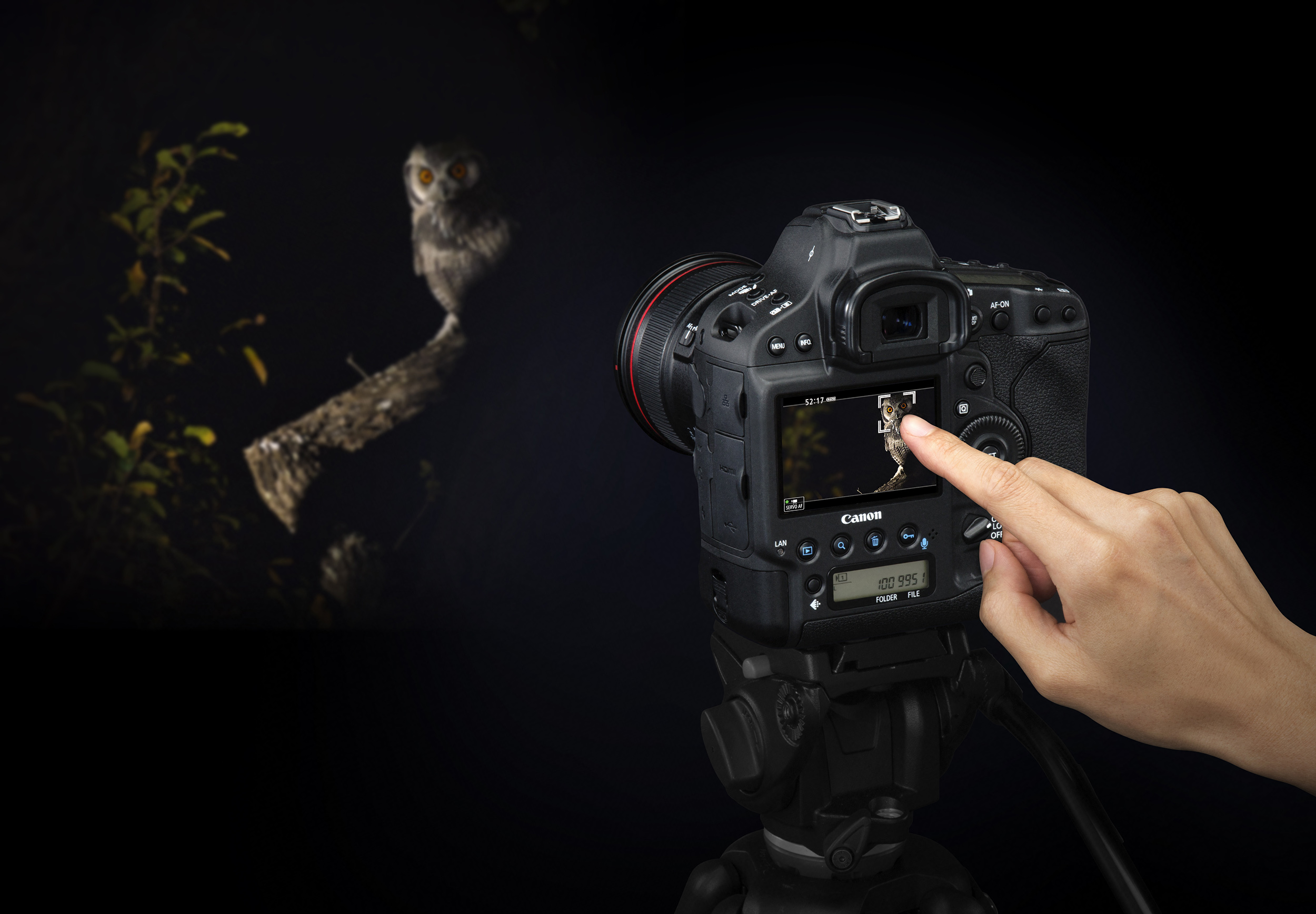 Canon EOS 1D X Mark II_2