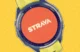 Ini Cara Menghubungkan Garmin Connect dan Strava, Olahraga Jadi Lebih Maksimal!