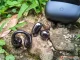 Review realme Buds Clip, TWS Open-Ear Paling Nyaman dengan Kualitas Audio Jernih